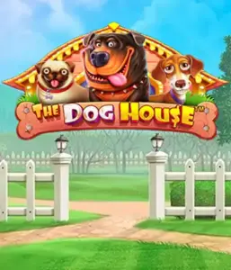 Experience Pragmatic Play's The Dog House adventure, offering a fun-filled experience through charming canines. Engage in features including free spins, aimed at delivering exciting wins. A must-try for those who enjoy an amusing theme and the opportunity to win big.